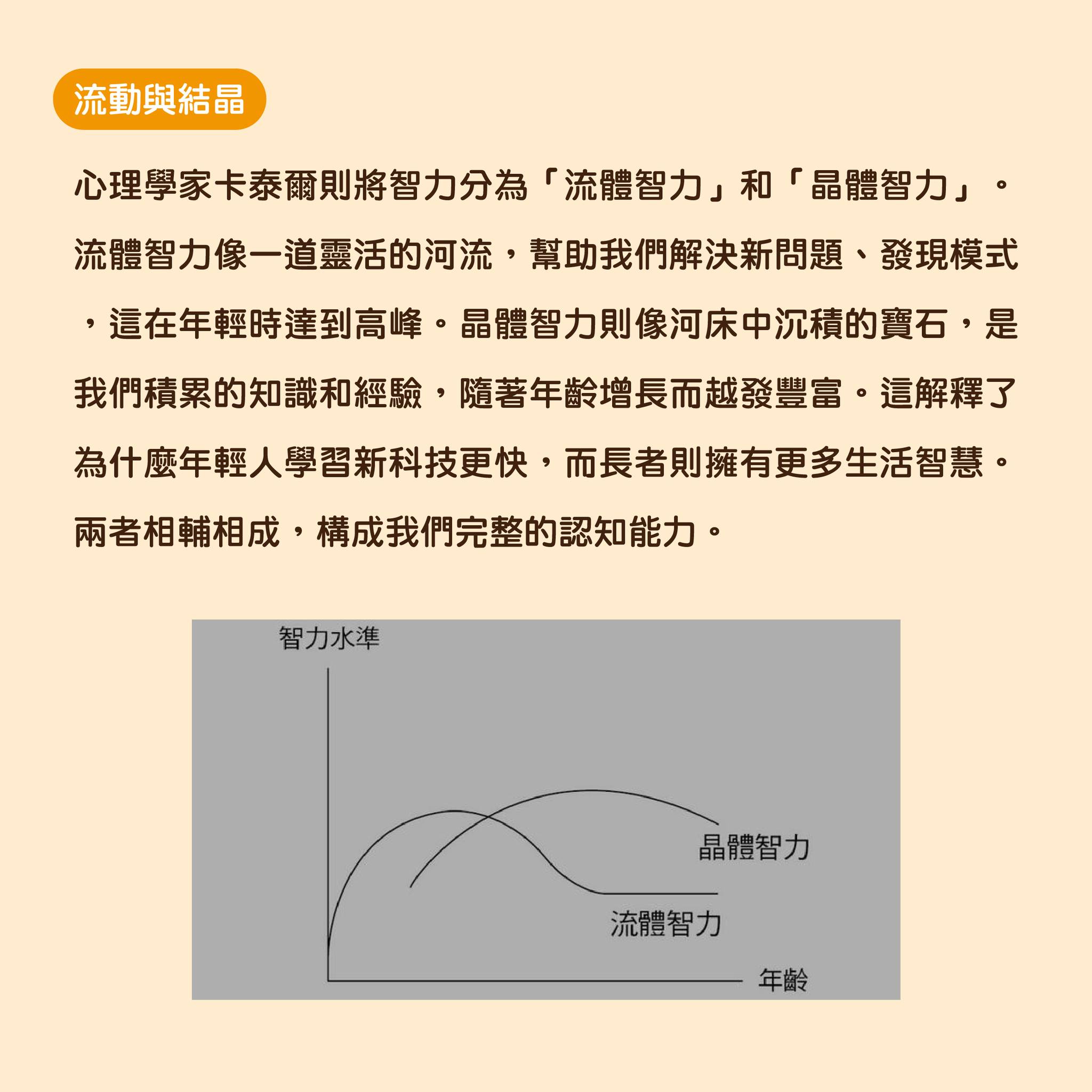 1767403811815700.jpg 4.jpg