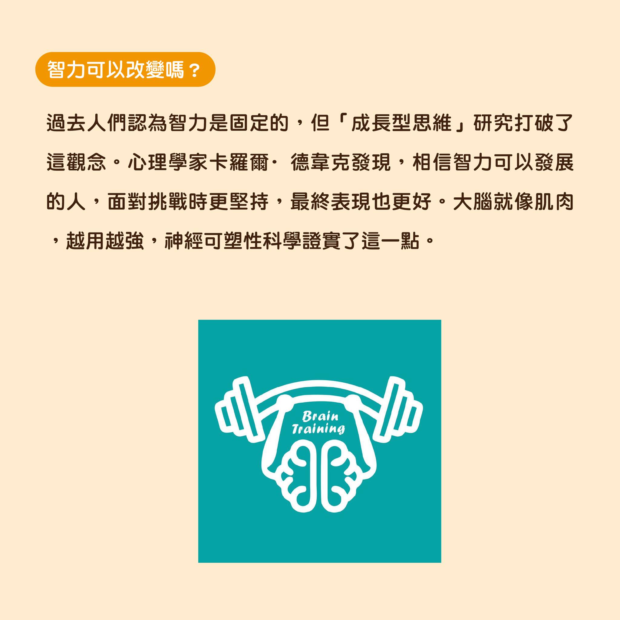 1767403816262601.jpg 5.jpg