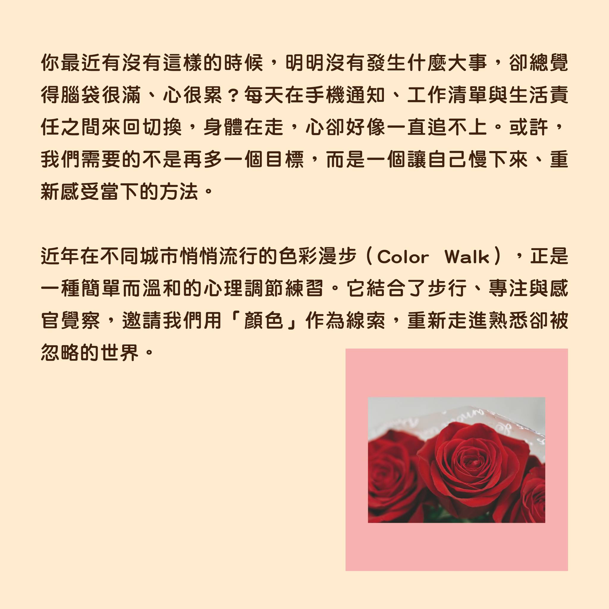 1770604997214381.jpg 2.jpg