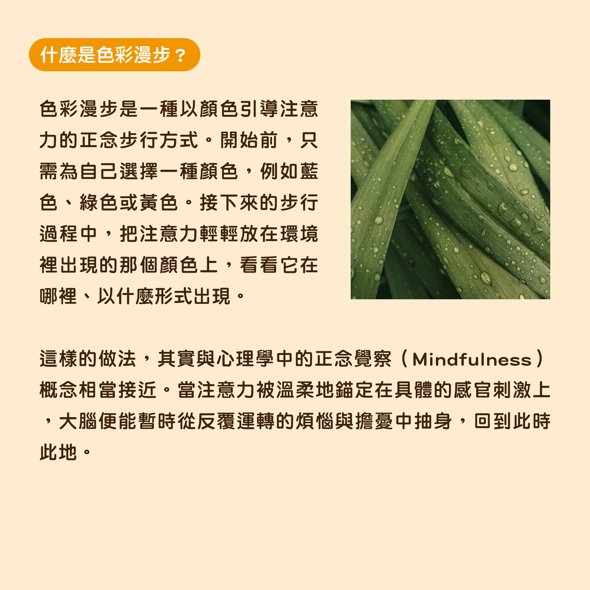 1770605001601035.jpg 3.jpg