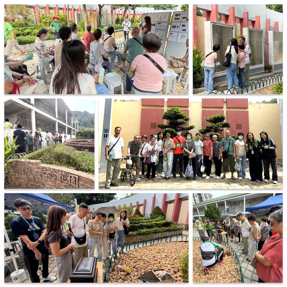 1789118774810740.jpg Blank 6 Grids Collage2.jpg